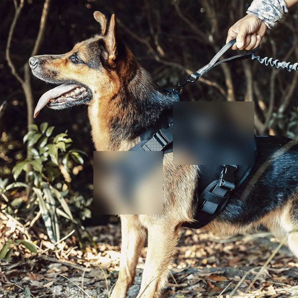 GroundedPup Adventure Harness — No-Pull Control for Real Trails