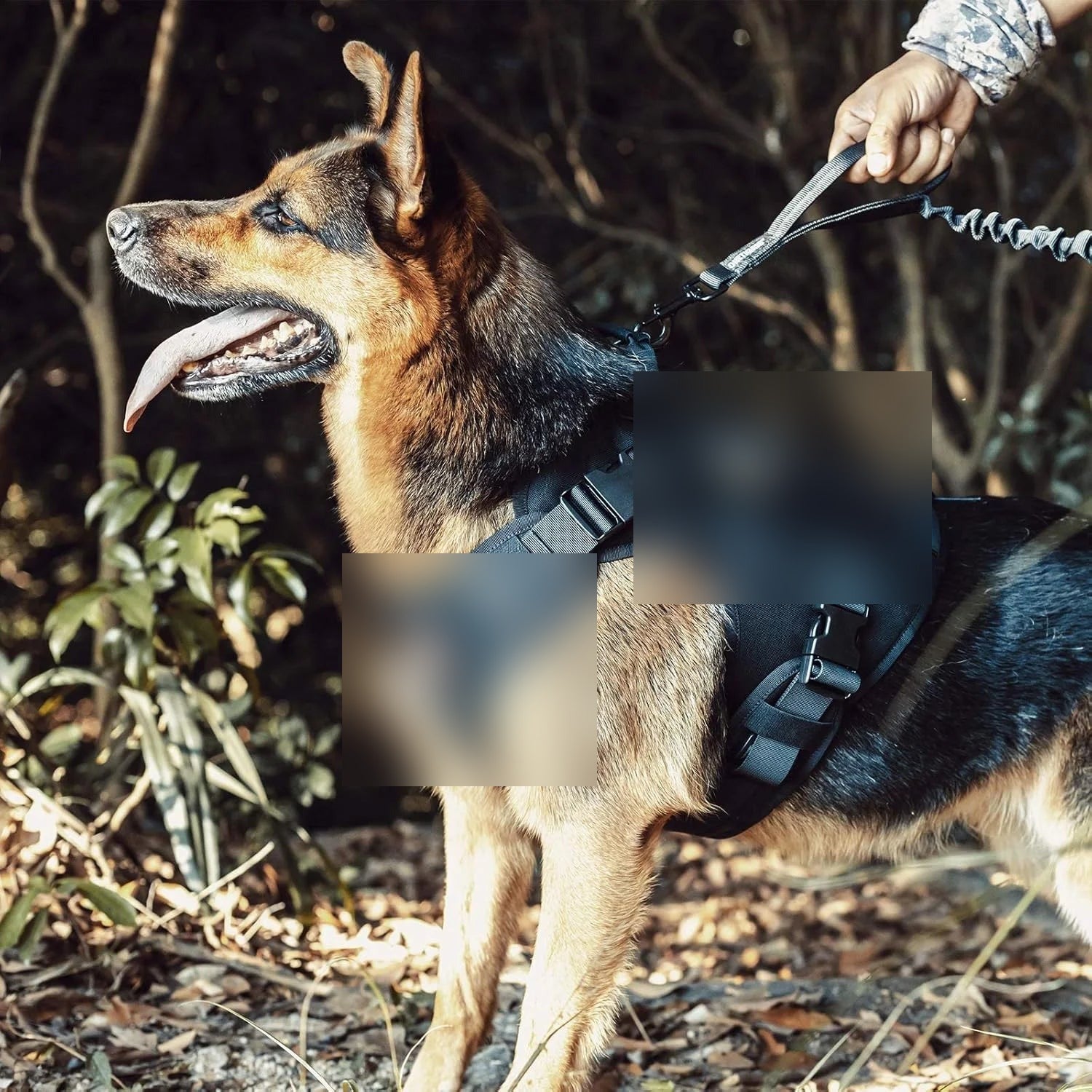 GroundedPup Adventure Harness — No-Pull Control for Real Trails